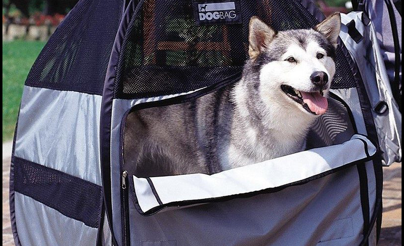 Are Dog Backpacks Safe