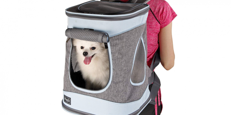 pet backpack